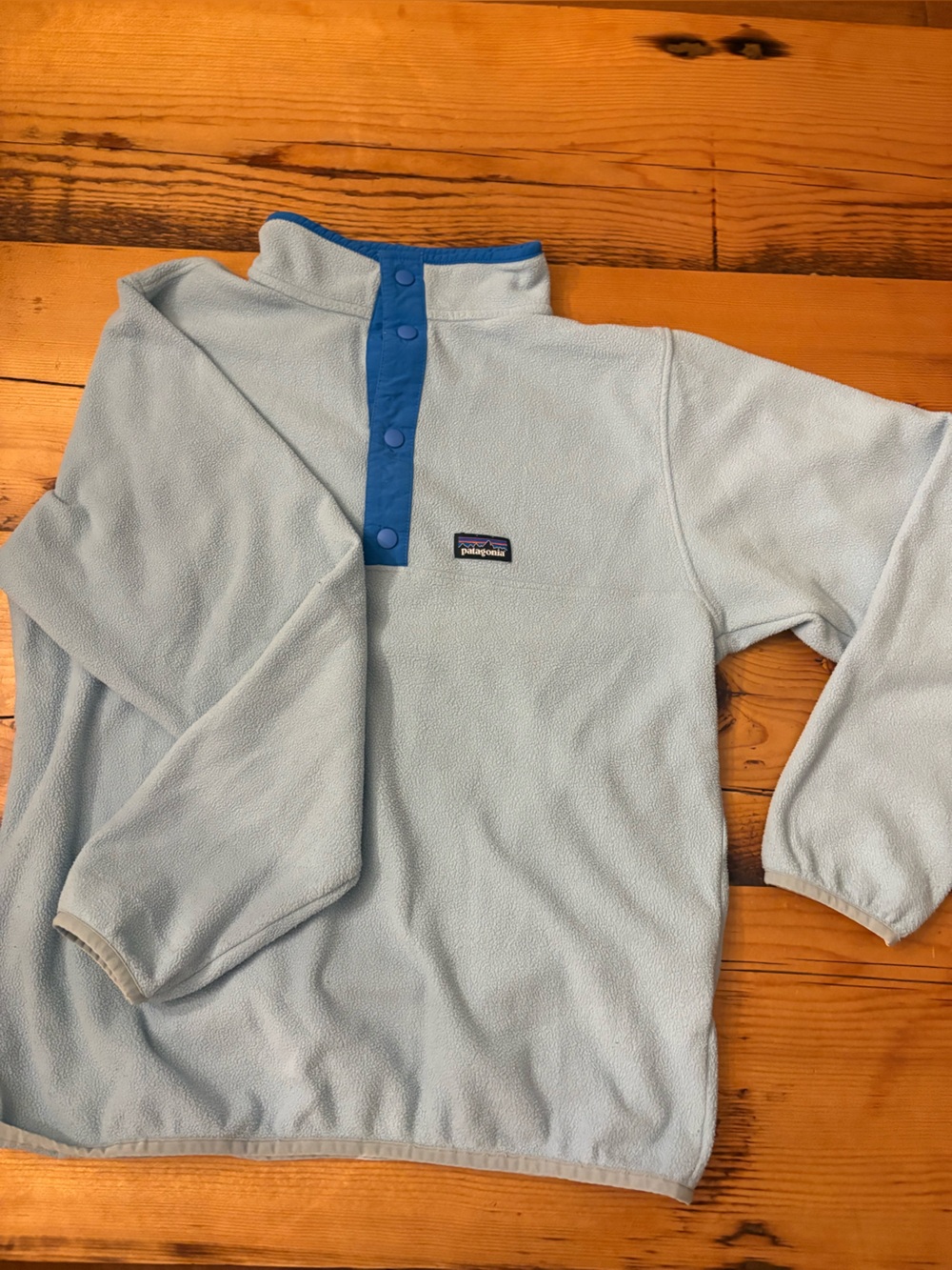 Patagonia Light Blue Fleece Kids Snap-Front pullover